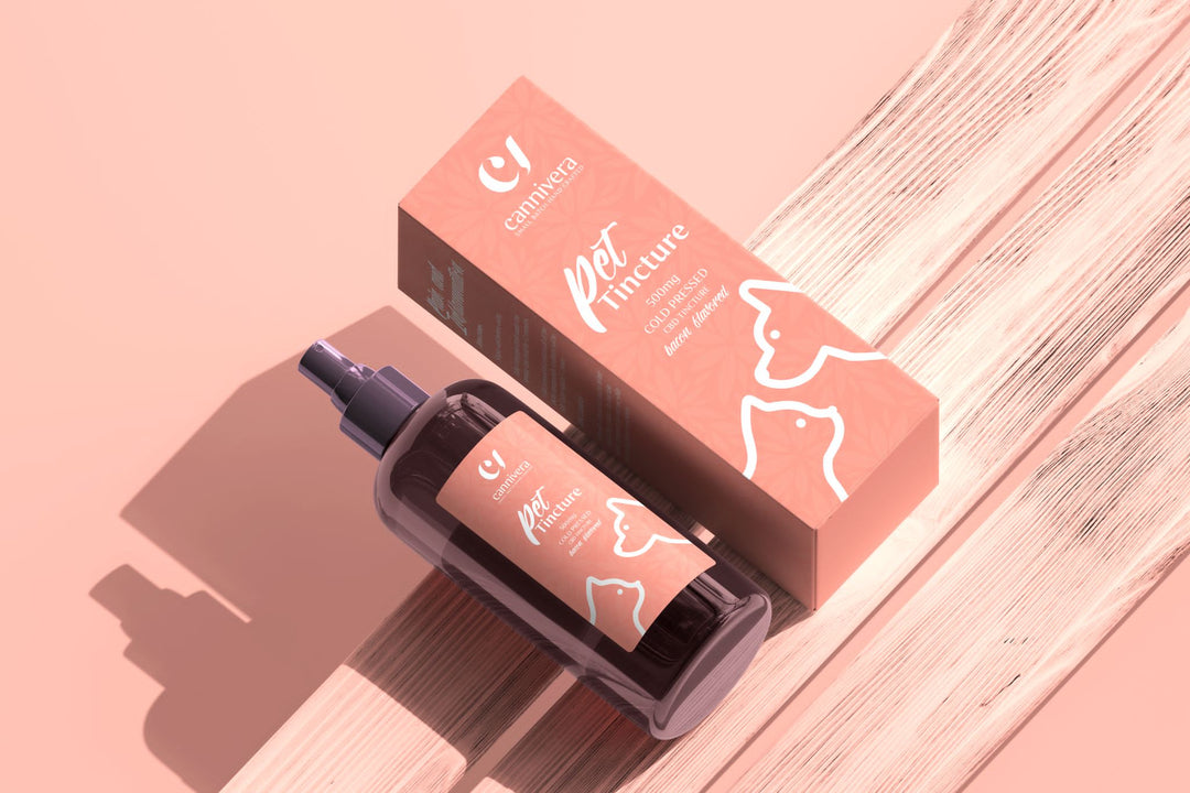 CBD Pet Tincture - Bacon Flavored