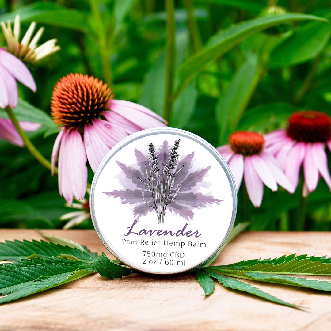 Pain Relief Salve - Lavender