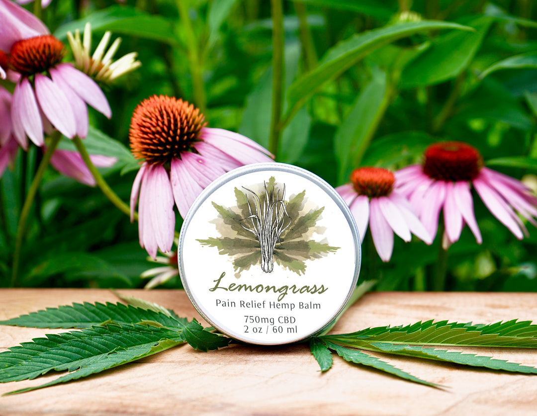 Pain Relief Salve - Lemongrass